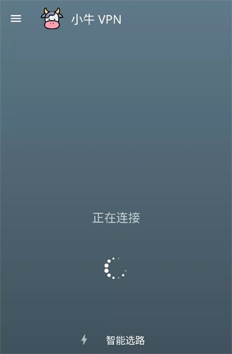 小牛加速器iPhone版截屏2