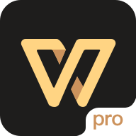 wps office专业版 V13.11.0