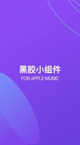 谜底黑胶iPhone版截屏3